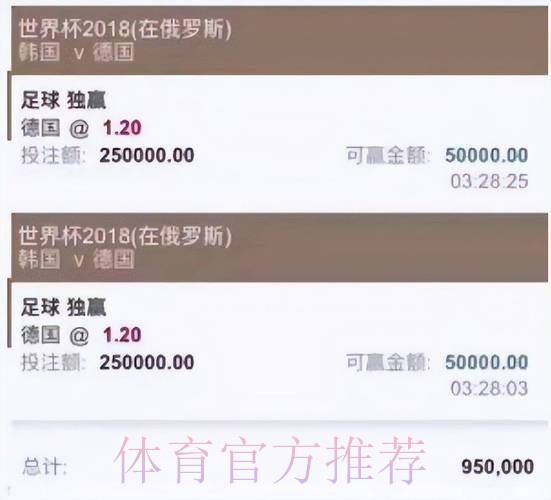 深入解析世界杯买球平台体验与评测